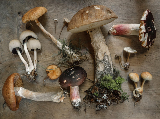 Get Health Benefits from Mushrooms