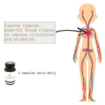 Cayenne Complex™ - Twenty First Century Herbs